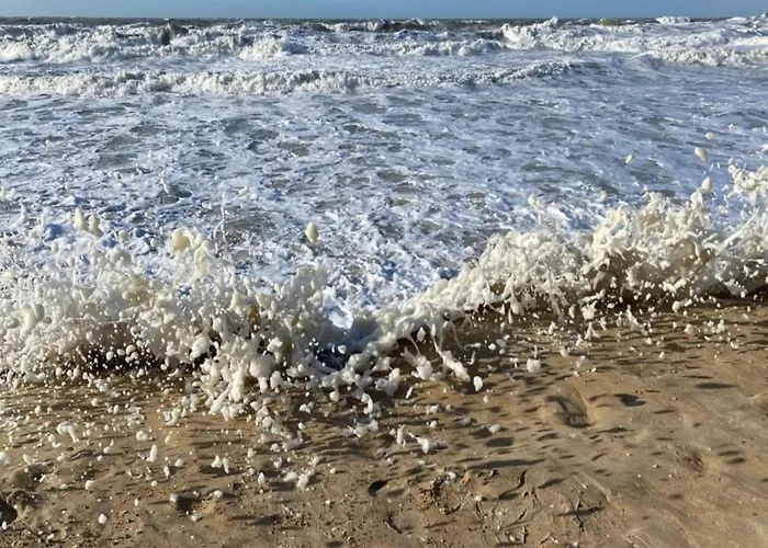 In Near The Seafront Ostend